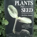 Growing plants from seed