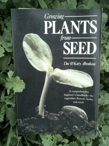 Growing plants from seed