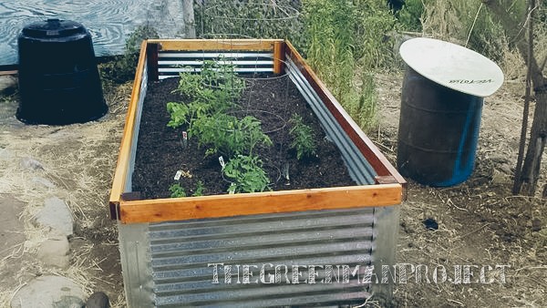 raised garden bed finished. needs more plants, but the frame is completed. as a side note, the barrel on the right was brought down by one of the awesome people here. it is filled with rain water that he catches. also below said barrel, you might notice a black cap. this little guy will be employed later, as it is connected to a pipe that carries grey water down the hill...