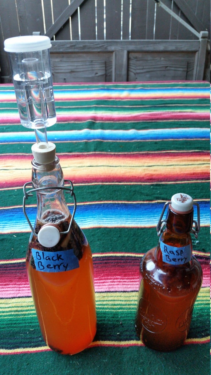 Bottled Kombucha with airlock