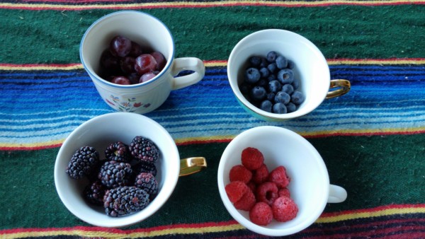 Berries in cups for Kombucha brewing