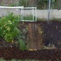 Finished lasagna garden renovation