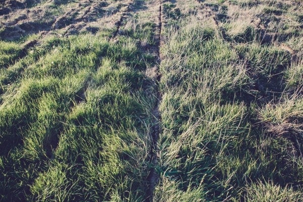 Field after a keyline plow pass on the west coast trip