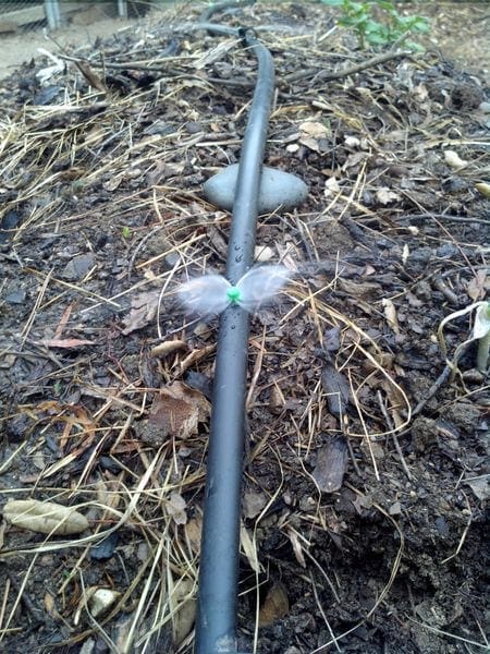 Drip irrigation - The Greenman Project