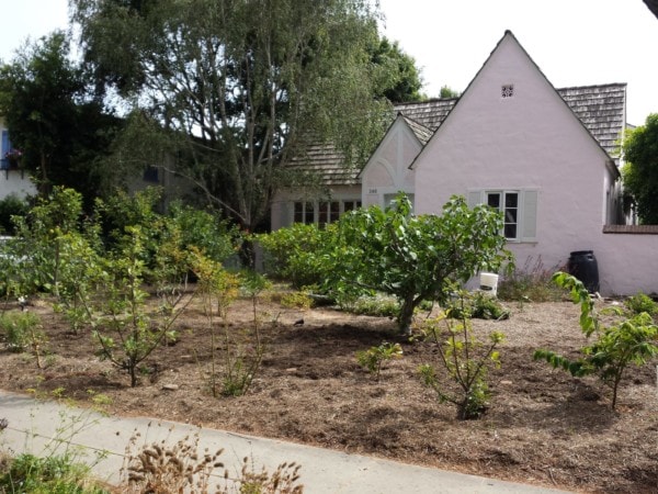 Greywater System - Laundry to Landscape - finished installation - The Greenman Project