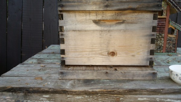 Bee keeping - The Greenman Project